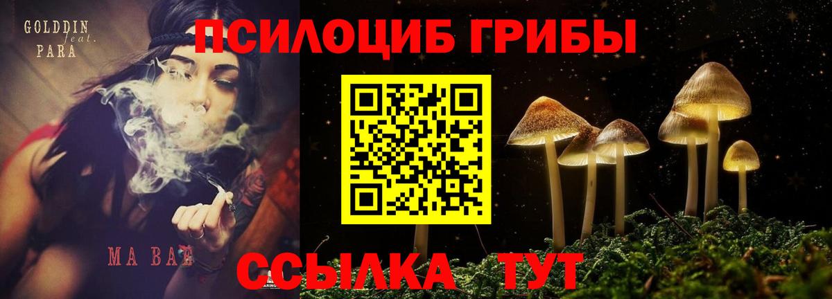 Краснодар  Псилоцибиновые грибы Psilocybe  Вход с VPN  Псилоцибиновые грибы Magic Shrooms 
